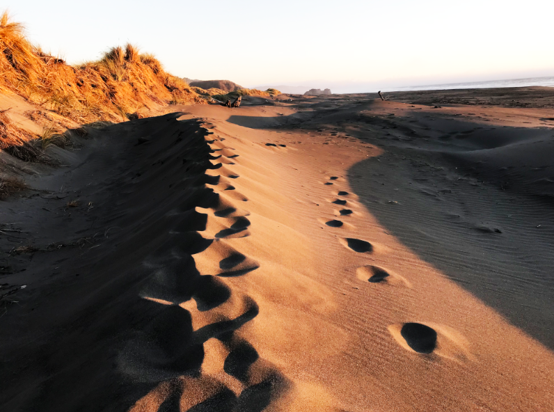 footprints on an Oregon beach